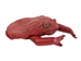 Dyed Cane Toad Coin Pouch: Medium/Large: Red - 1019-10M-RD (D5)
