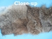 Rabbit Craft Piece: 10x80cm: Bunny Brown - 1259-1L-1080-BB (Y2F)