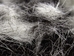 Calf Hair: 10-Gram Bag - 1319-10-AS (Y1K)