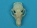 Cave Nectar Bat Skull - 15-253-13 (Y2J)