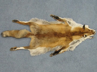 Red Fox Skin with Feet: Assorted 