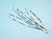 African Porcupine Quill: #1: Ultra Thin - 184-02UT (Y1X)