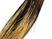 North American Porcupine Hair (oz) - 184-H1 (Y2J)