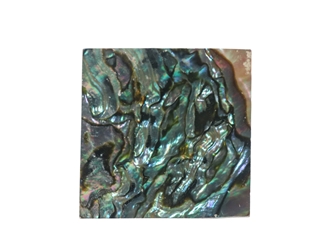 Mexican Abalone Shell Shape: 20 x 20 x 1 mm 