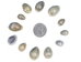 Ringtop Cowrie Shells (kg) - 269-274-KG (Y2J)