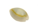 Ringtop Cowrie Shells (kg) - 269-274-KG (Y2J)