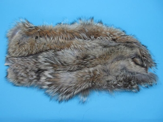 Premium Coyote Fur Scrap: Large (lb) 