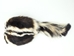Real Skunk Fur with Face Hat - 346-RF-AL (Y1J)