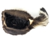 Real Skunk Fur with Face Hat - 346-RF-AL (Y1J)