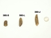 Fossilized Walrus Teeth (per lb) - 380-S