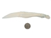 Alligator Jaw Bone Knife: Small - 381-60S-AS