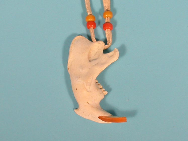 Real Beaver Jaw Necklace 