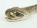 Rattlesnake Head Keychain: Mouth Closed - 42-30C (Y2J)