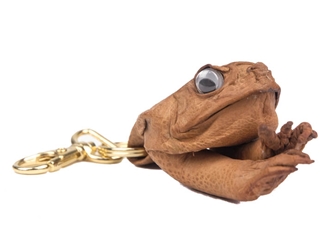 Cane Toad Key Holder with Clip 
