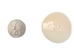 1.5" Clam Shell Button - 491-1.5 (Y2L)