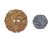 Australian Abalone Button: 60-Line (38.1mm or 1.5&quot;) - 495-60L (Y2K)