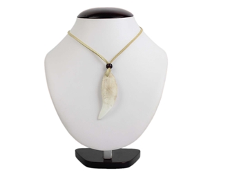 Realistic Bear Tooth Necklace: 1-Tooth 