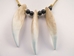 Realistic Bear Tooth Necklace: 3-Tooth - 560-203