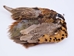 Dyed Ringneck Pheasant Skin: #2: Golden Yellow - 6-10-2-GY (Y3D)