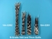 African Porcupine Quill: B-Grade Thick: Assorted - 184-02B1 (L10)