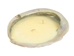 Abalone Shell Candle: Citronella - 278-51 (Y3G)