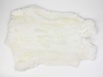 Czech #2/#3 Breeder Rabbit Skin: White White rabbit skins, Czech white rabbit fur, Czech rabbit pelt, white color