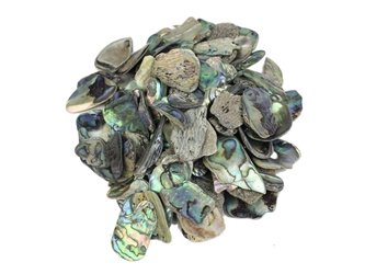 Paua Shell Pieces: Satin: Small (1/4 lb) 