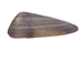 Coquina Clam Shells 0.375"-0.75" (1 kg or 2.2 lbs)  - 2HS-3530K-KG (Y3L)