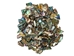 Highly Polished Paua Shell Pieces: Small 15-25mm (1/4 lb) - 565-TPHPS-4