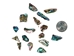 Highly Polished Paua Shell Pieces: Small 15-25mm (1/4 lb) - 565-TPHPS-4
