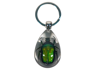 Clear Resin Bug Keychain: Assorted 