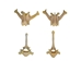 Coyote Vertebra: Assorted Shapes and Sizes - 1116-42 (Y2J)