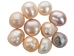 Medium-Grade Craft Pearls - 1264-E200 (Y2H)