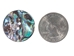 Paua Shell Button: 40L (25mm or 1") (12 pack) - 1393-40L-12 (Y2K)
