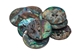 Paua Shell Button: 40L (25mm or 1") (12 pack) - 1393-40L-12 (Y2K)