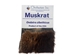 Educational Fur Card: Muskrat - 1404-10MU (Y2L)