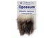 Educational Fur Card: Opossum - 1404-10OP (Y2L)