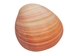 Pink Clam Shells: 3" to 5" - 1413-0305-AS (Y1G)(Y3L)