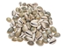 Ringtop Cowrie Shell (100-Pack) - 269-274-C (Y1J)
