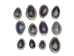 Purple Ringtop Cowrie Shell (10-Pack) - 269-275-D (Y1J)