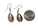 Cowrie Shell Earrings - 269-E01-AS (Y1M)
