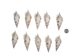White Tibia Shell: Star Cut: 3.5" to 4" (10 pack) - 2HS-4416-10 (Y1J)