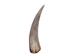 Goat Horn Core: 4" to 6" - 318C-S-AS (Y2P)