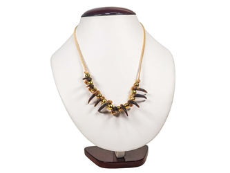 Real Iroquois Coyote Claw Necklace: 10-Claw 