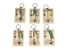 Fossil Shark Tooth Keyring with Card - 42-FST01-AS (Y1X)
