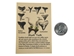 Fossil Shark Tooth Earring with Card - 561-EFT01-AS (Y2K)