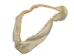 Blue Shark Jaw: 8" to 10" - 561-J20-0810-AS (Y3K)