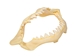 Plastic Shark Jaw 5" - 561P-05-AS (Y1X)