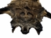 Wild Boar Skin: Extra Extra Large - 577-XXL-AS