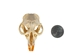 Marten Skull: Broken or Cracked - 649-G11031501 (10UF)